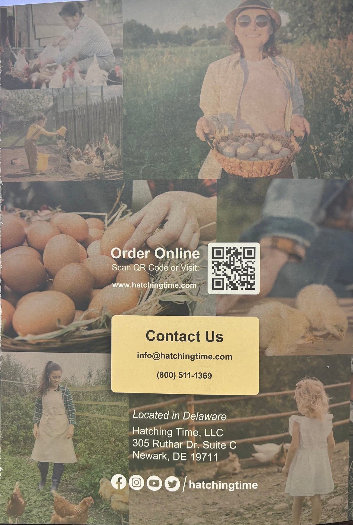 Hatching Time Catalog 2022