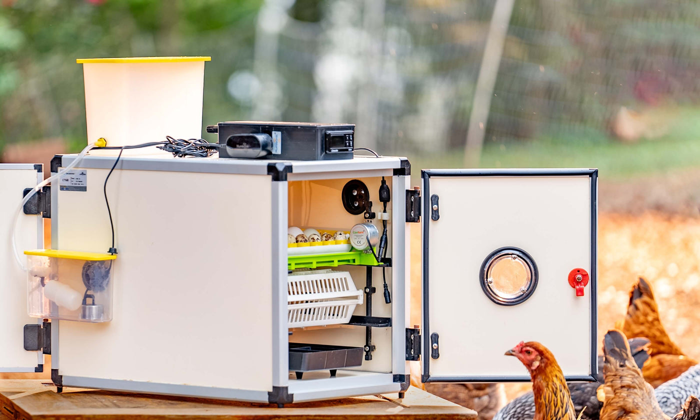 Hatching Time Egg Incubator with Open Doors on each side.