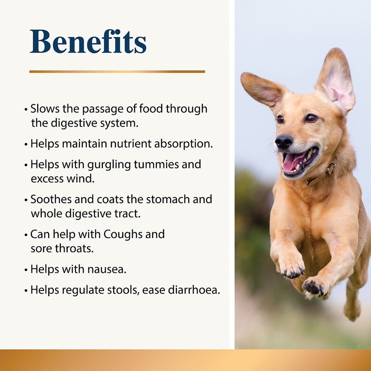 Karnlea Slippery Elm benefits graphic with a dog picture