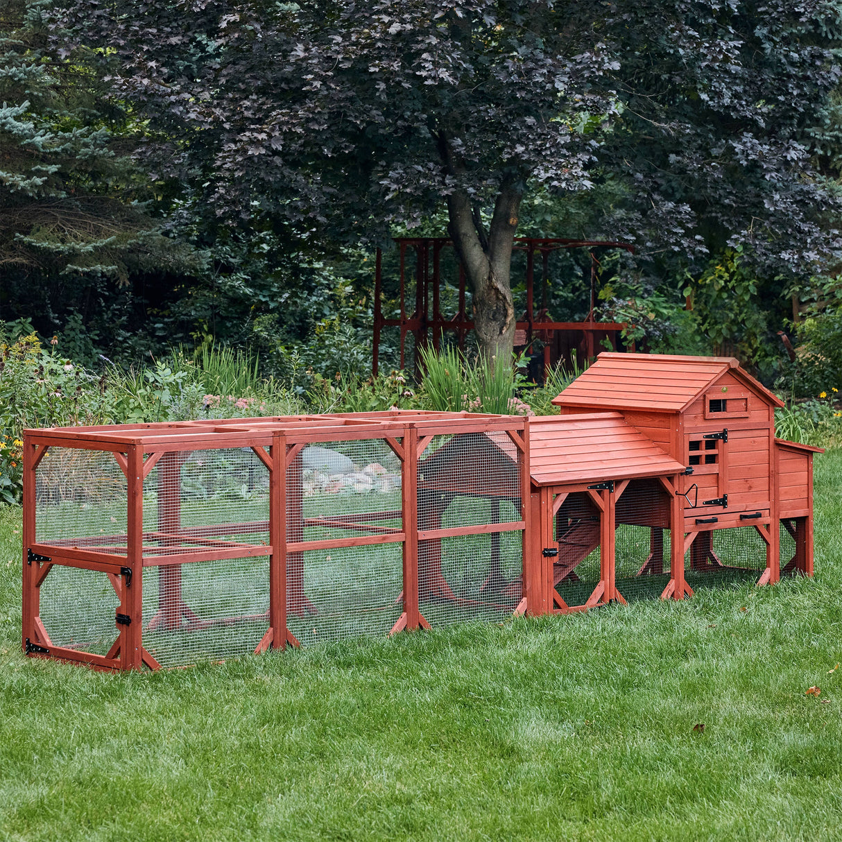 Chicken Coop for 4 Chickens - Leghorn Cottage Backyard Coop