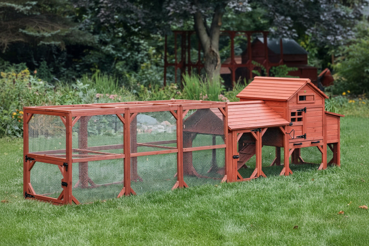 Chicken Coop for 4 Chickens - Leghorn Cottage Backyard Coop
