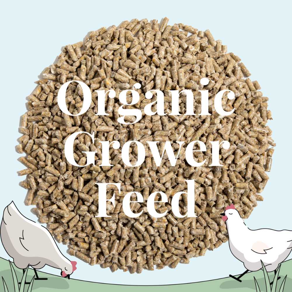 a pellet pile of Mile Four Organic Chicken Grower Feed