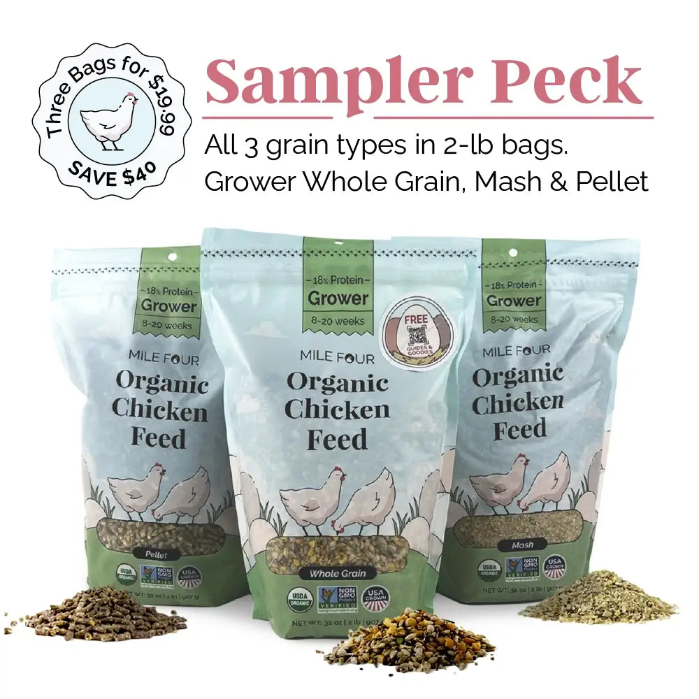 a sampler peck of Mile Four Organic Chicken Grower Feed