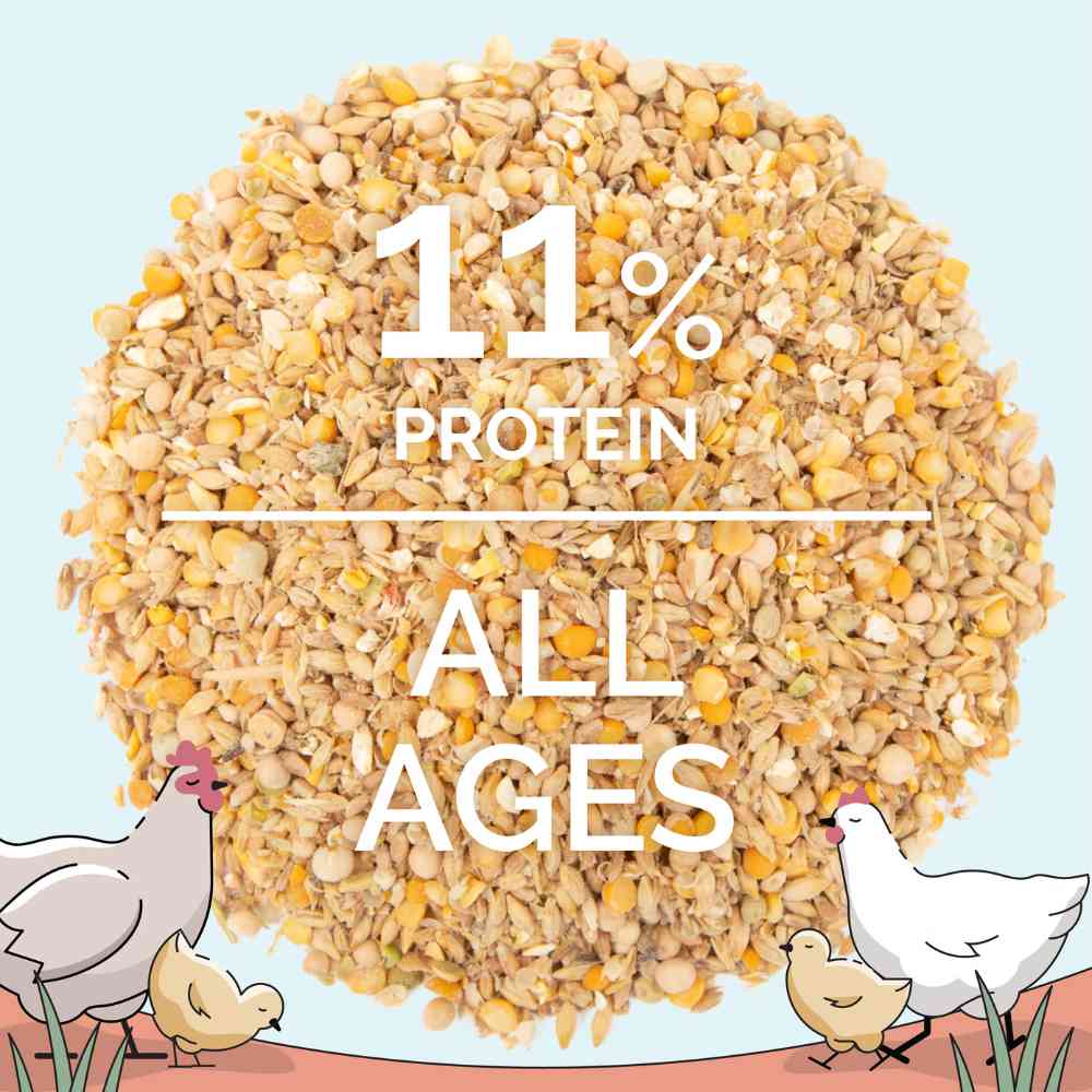 Mile Four Organic Chicken Scratch is 11% protein for birds of all ages