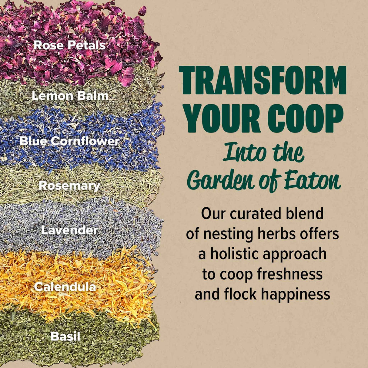 Premium Nesting Herbs ingredients – rose petals, lemon balm, blue cornflower, rosemary, lavender, calendula, and basil for fresh, aromatic chicken coops.