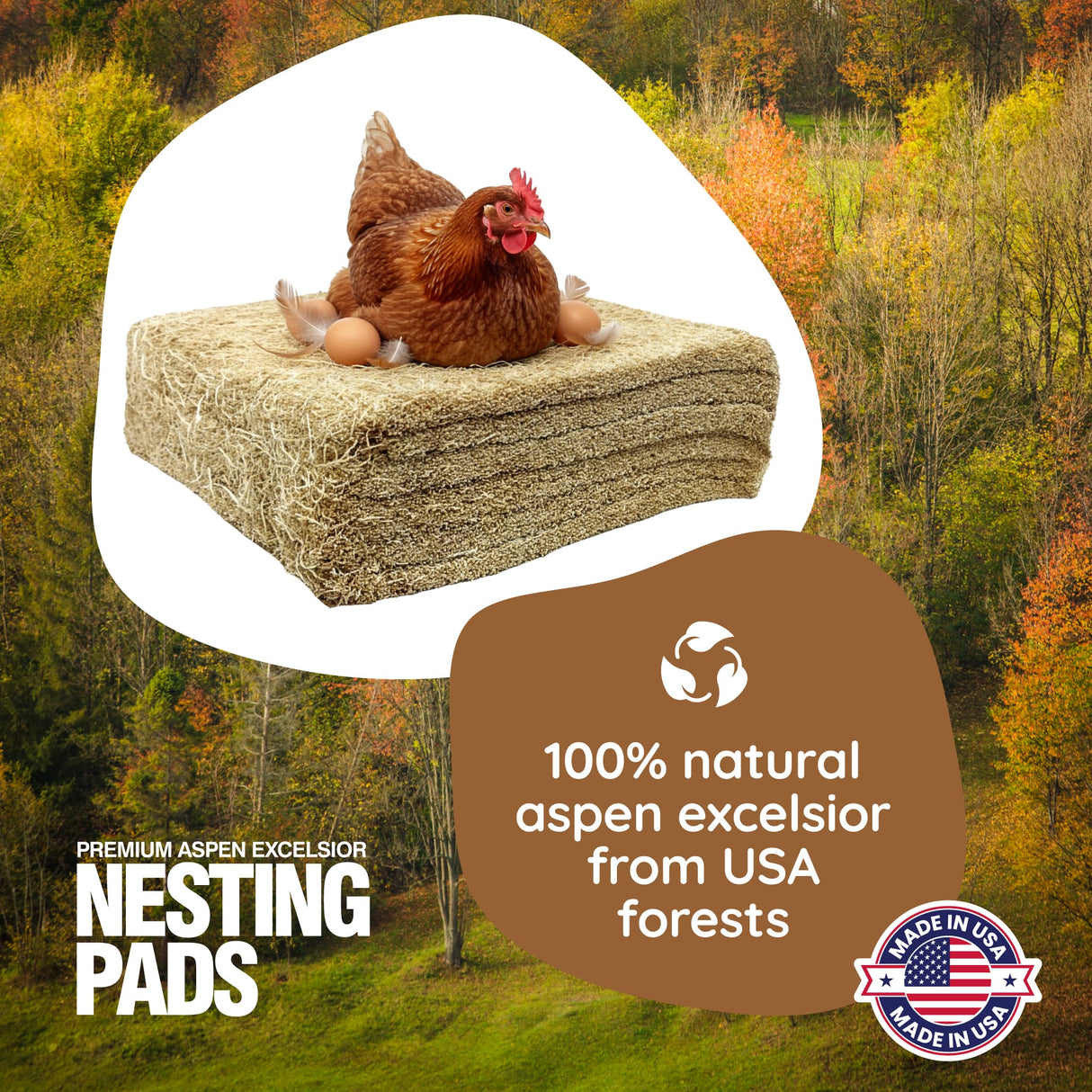 Nesting pad with chickens on a natural background, featuring text about natural aspen excelsior from USA forests.