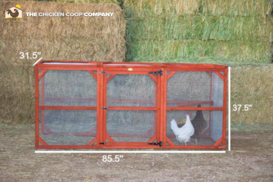 Chickens living in Orpington Lodge Chicken Coop