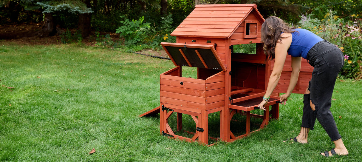 Chicken Coop for 6 Chickens - Orpington Lodge with Run Options