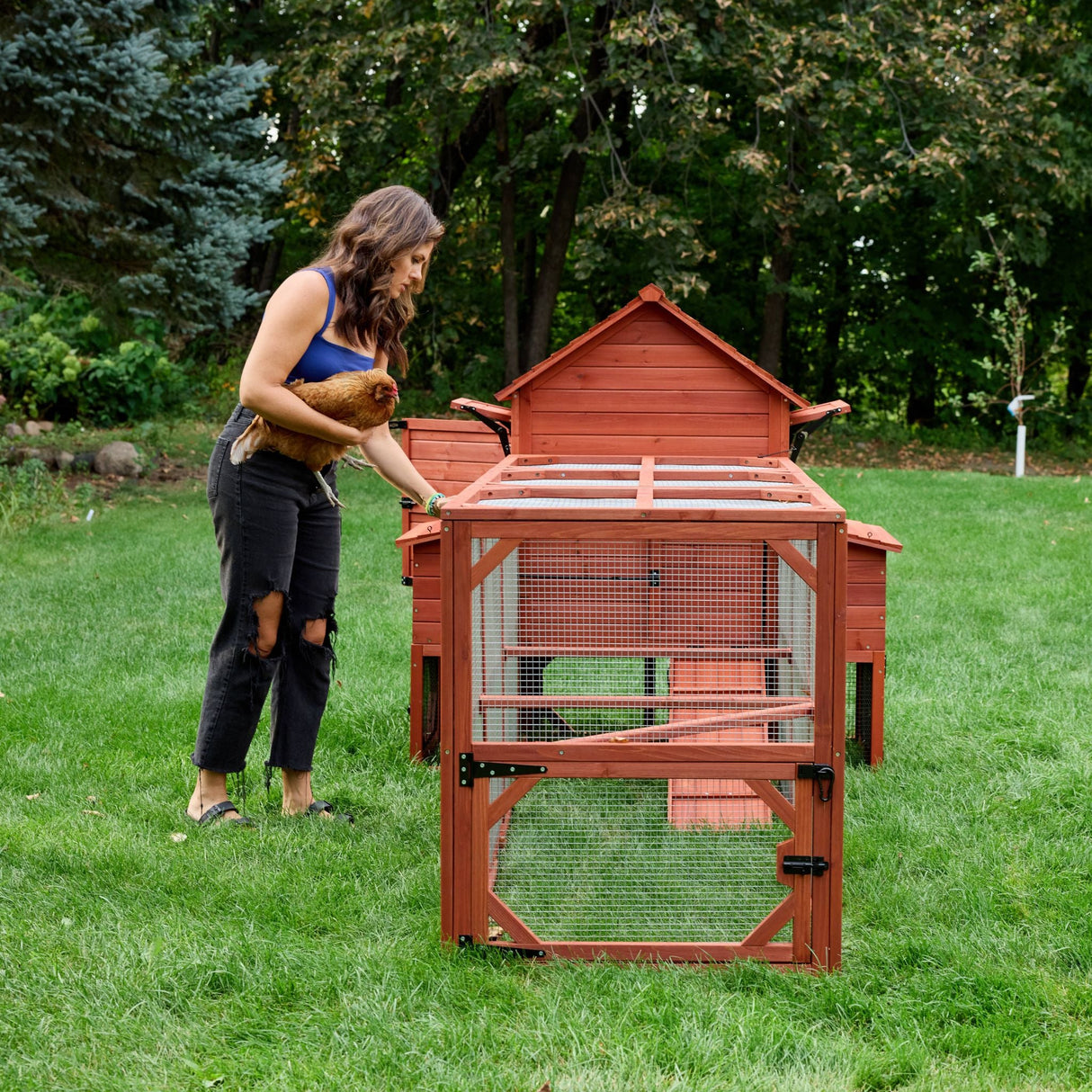 Chicken Coop for 6 Chickens - Orpington Lodge with Run Options