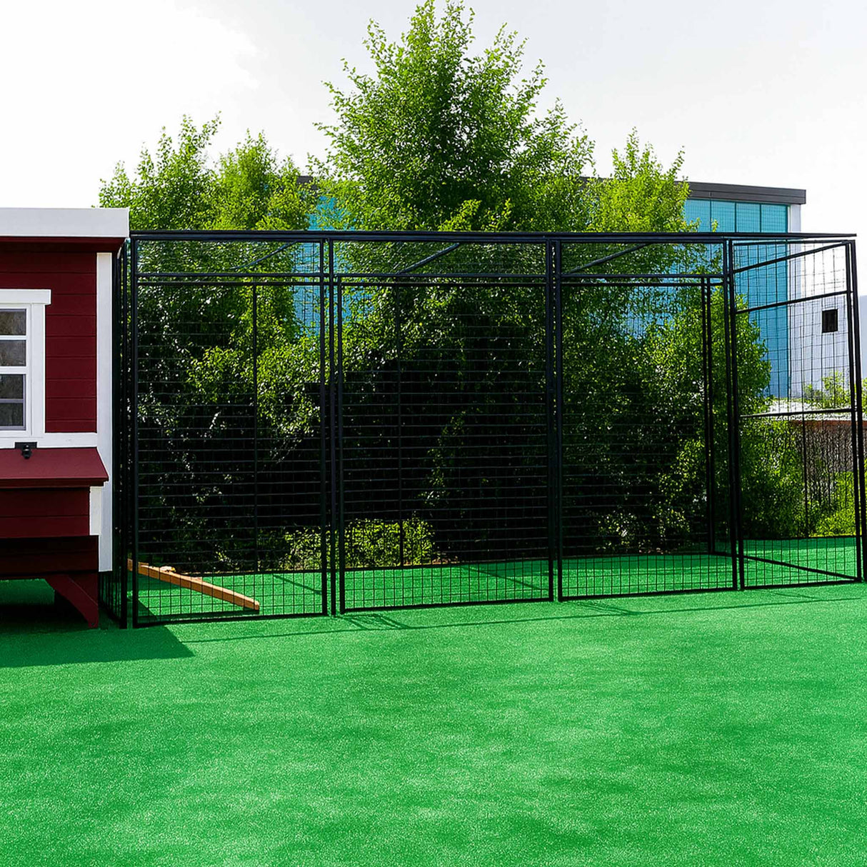 Hatching Time OverEZ 15 ft chicken run can be seen connected to chicken coop.