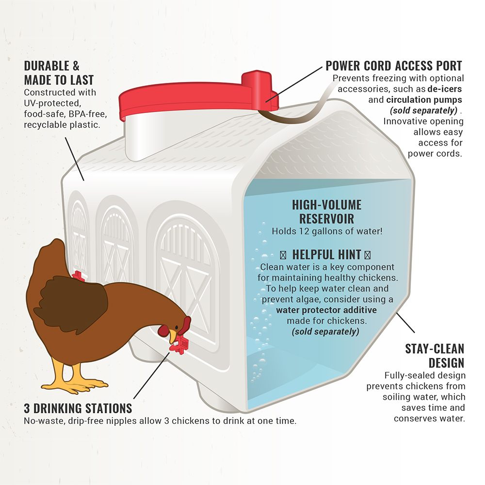 Chicken Waterer - 12 Gallon