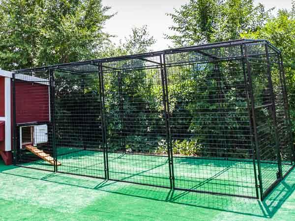 Walk-In 15 ft. Chicken Run