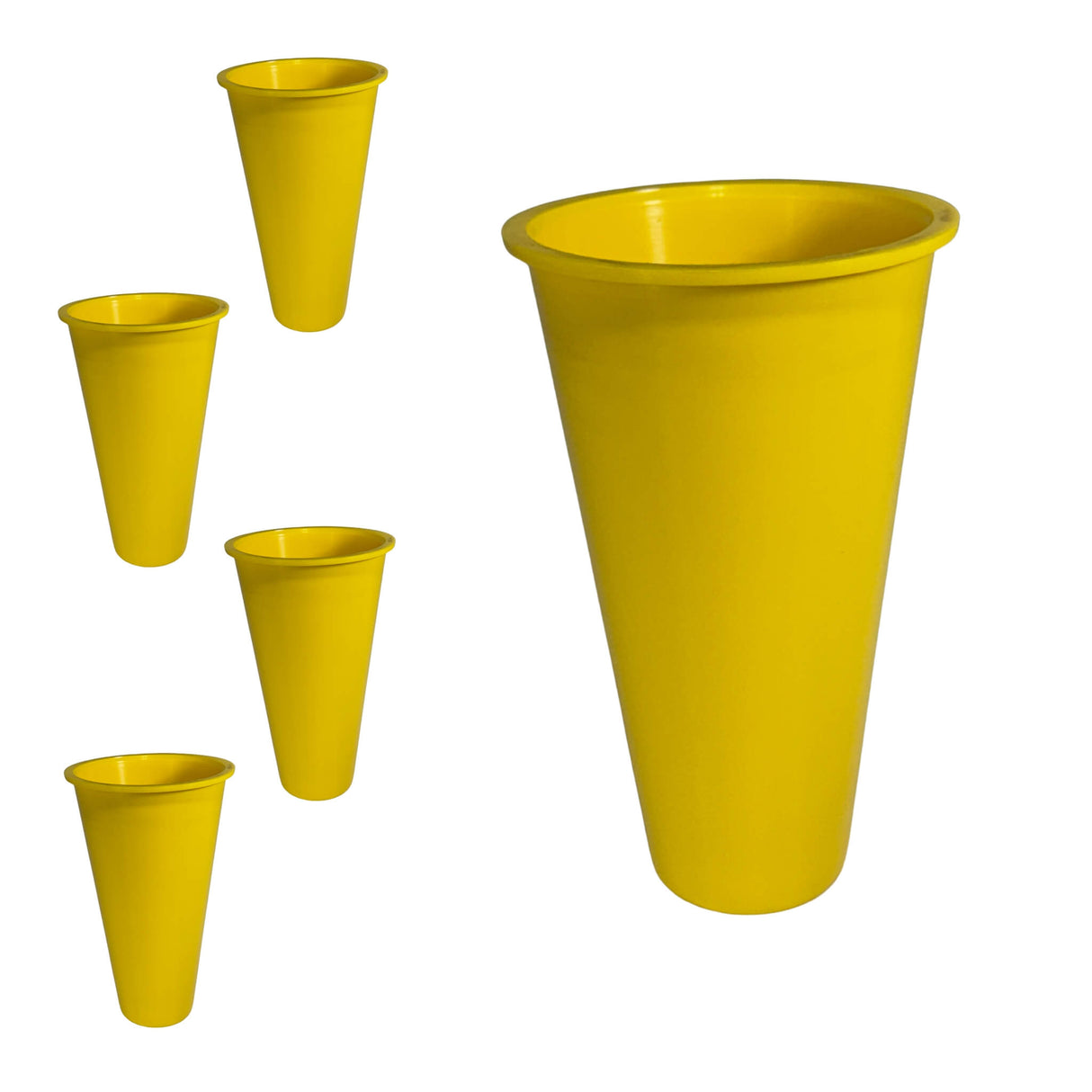 5 Processing Cones - Quail