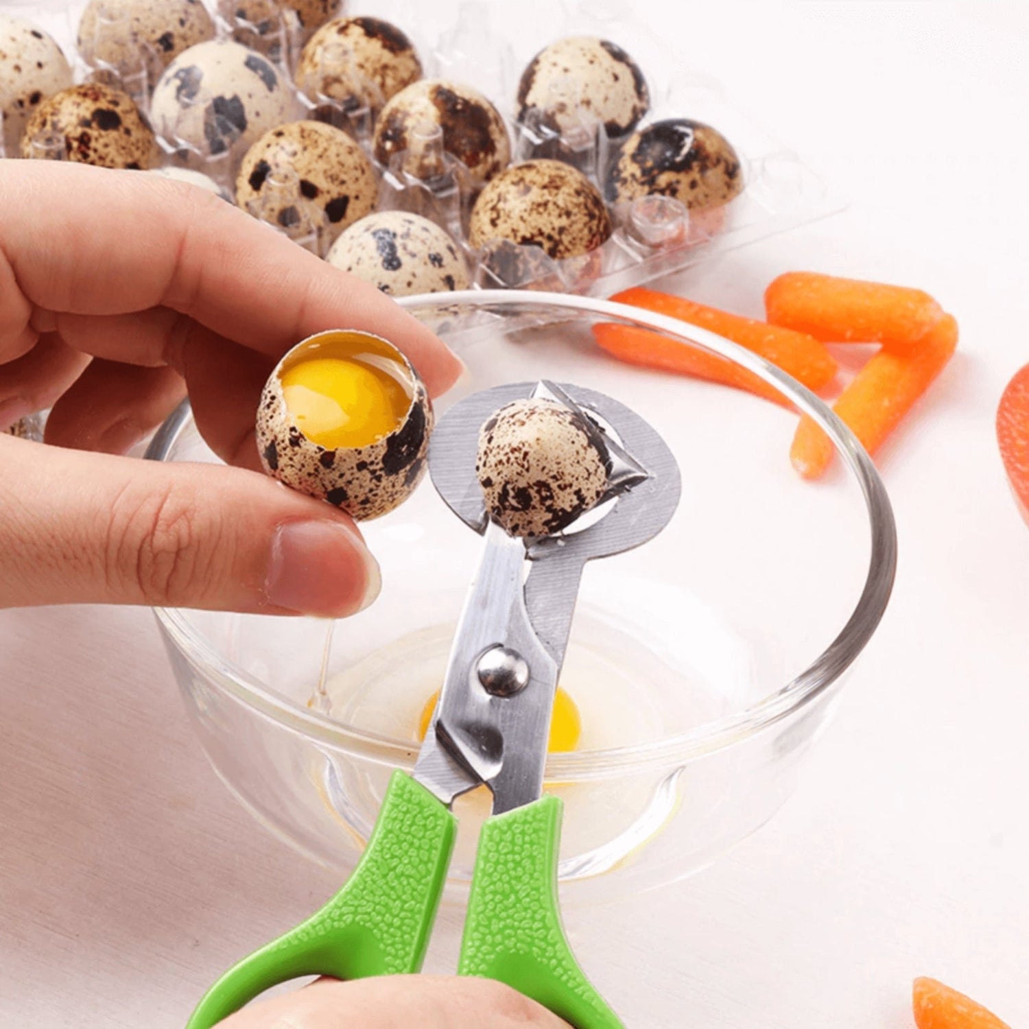 Quail Egg Scissors Cutting - Hatching Time