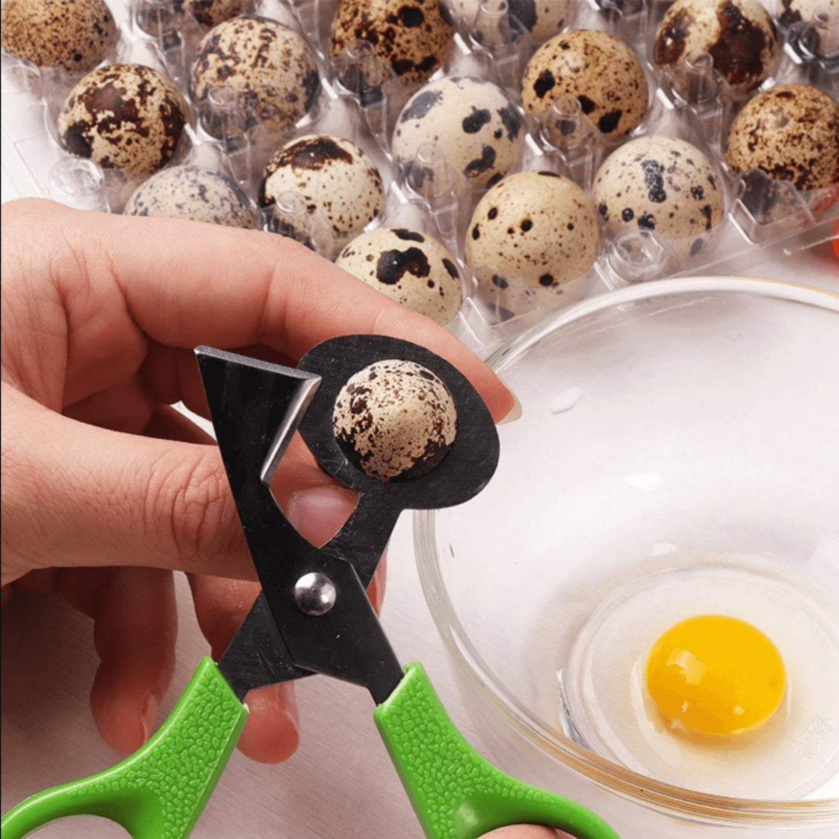 Quail Egg Scissors with Bowl - Hatching Time