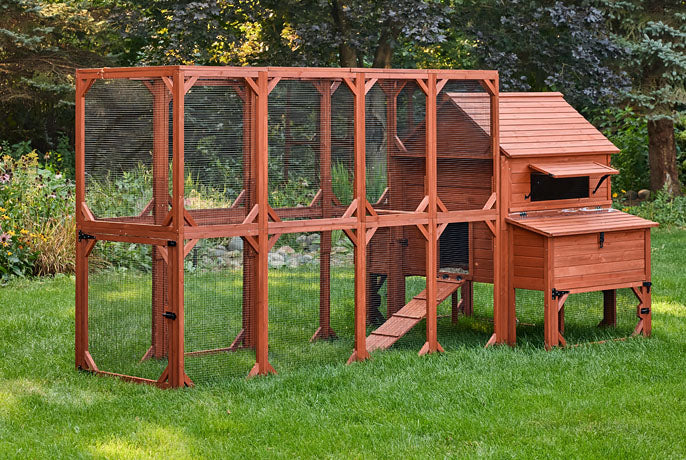 Chicken Coop for 10 Chickens - Rhode Island Homestead w/ Run Options