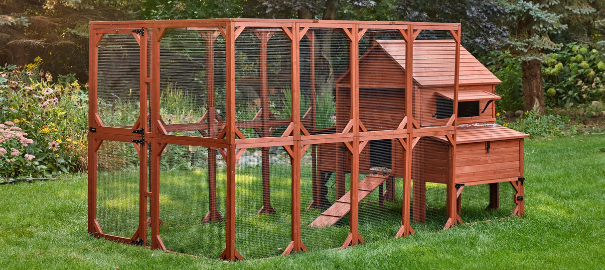 Rhode Island Homestead chicken coop