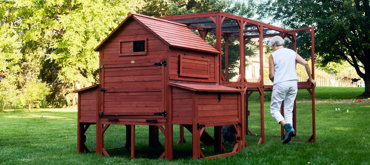 Chicken Coop for 10 Chickens - Rhode Island Homestead w/ Run Options