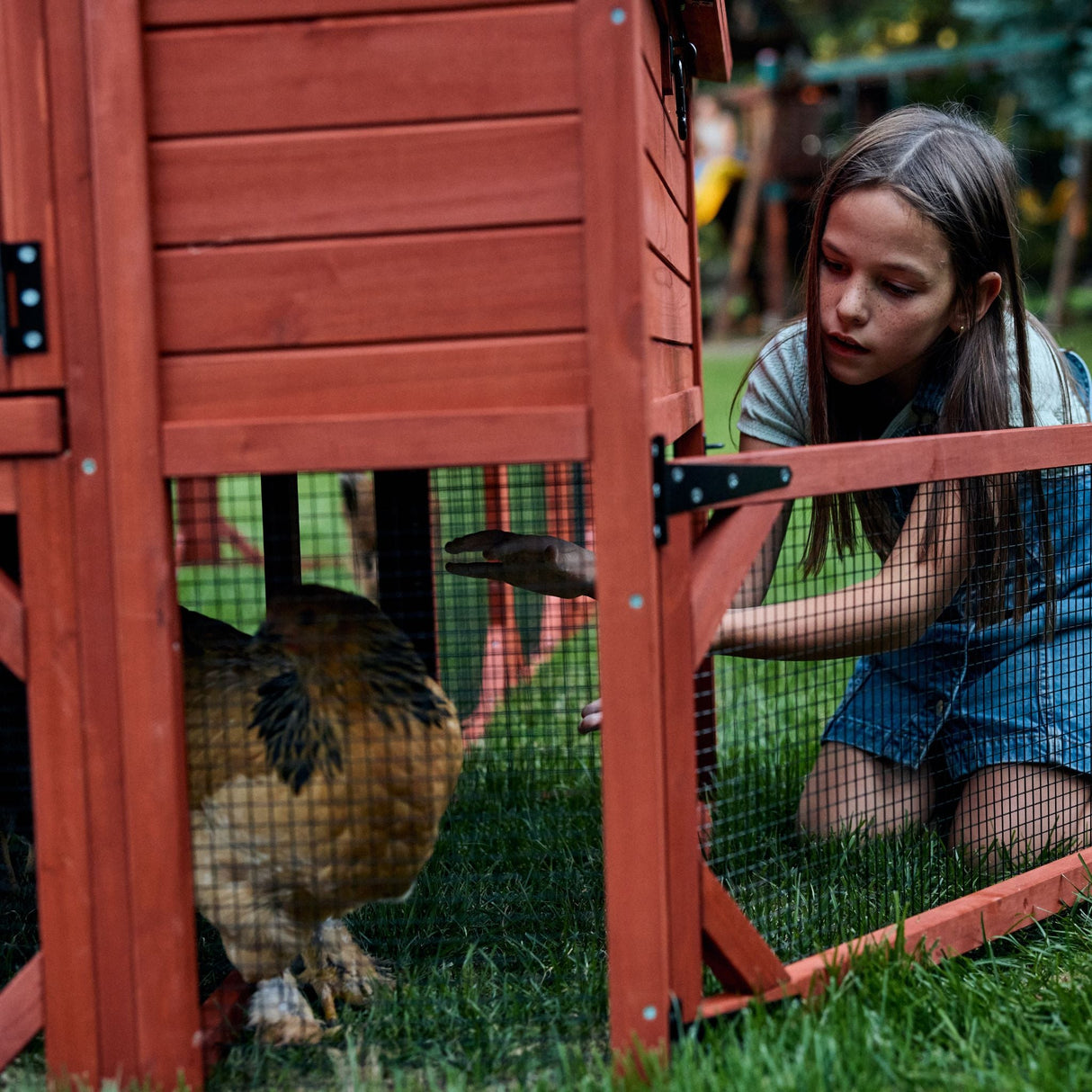 Chicken Coop for 10 Chickens - Rhode Island Homestead w/ Run Options