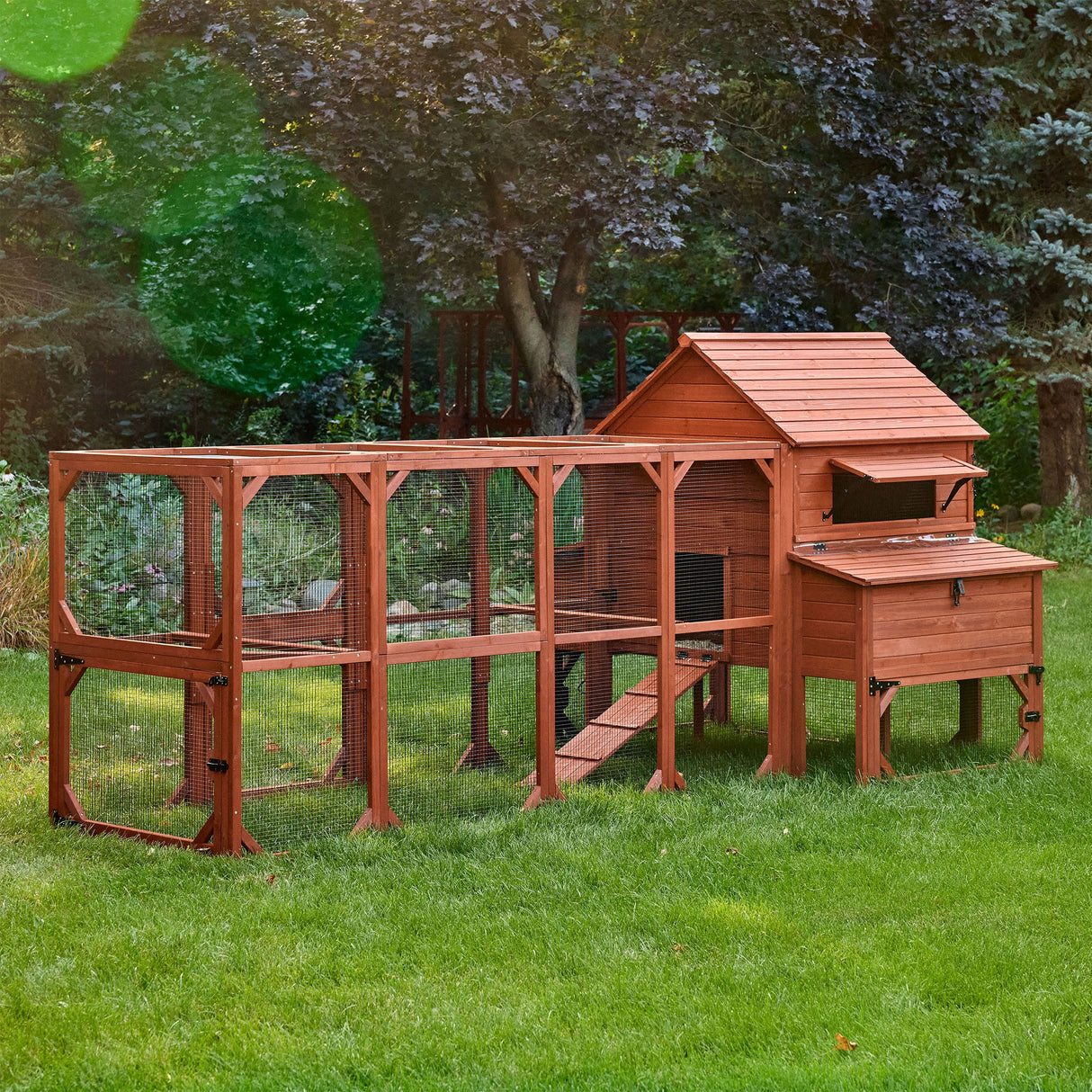 Chicken Coop for 10 Chickens - Rhode Island Homestead w/ Run Options