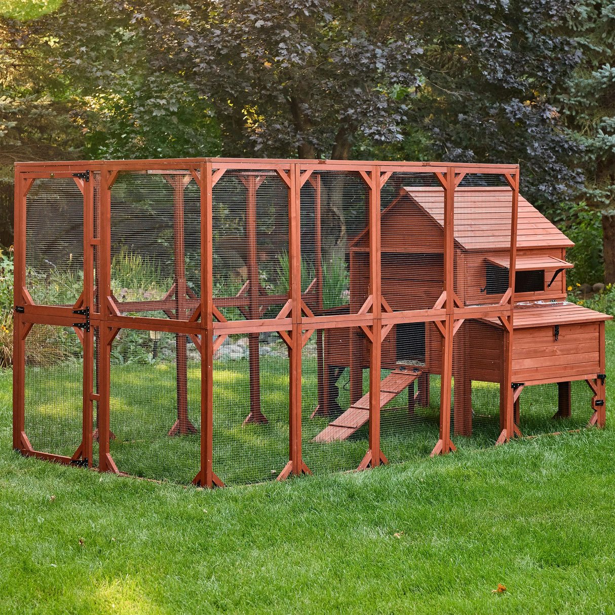 Chicken Coop for 10 Chickens - Rhode Island Homestead w/ Run Options