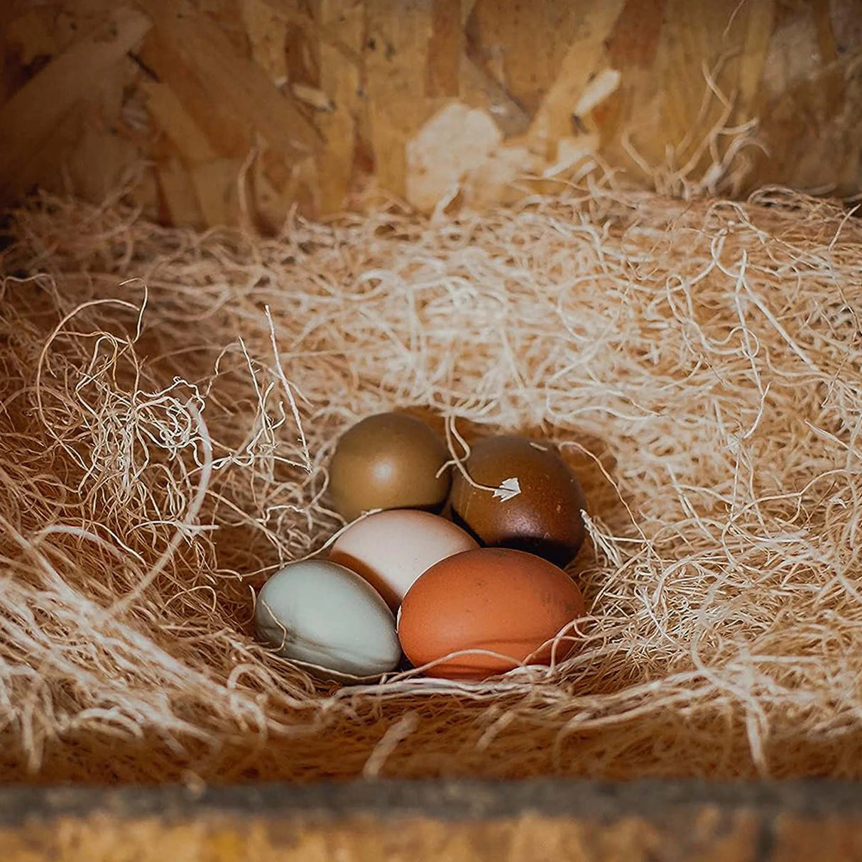 Premium Nesting Pad placed inside a chicken nesting box with freshly laid eggs resting on soft aspen excelsior fibers.