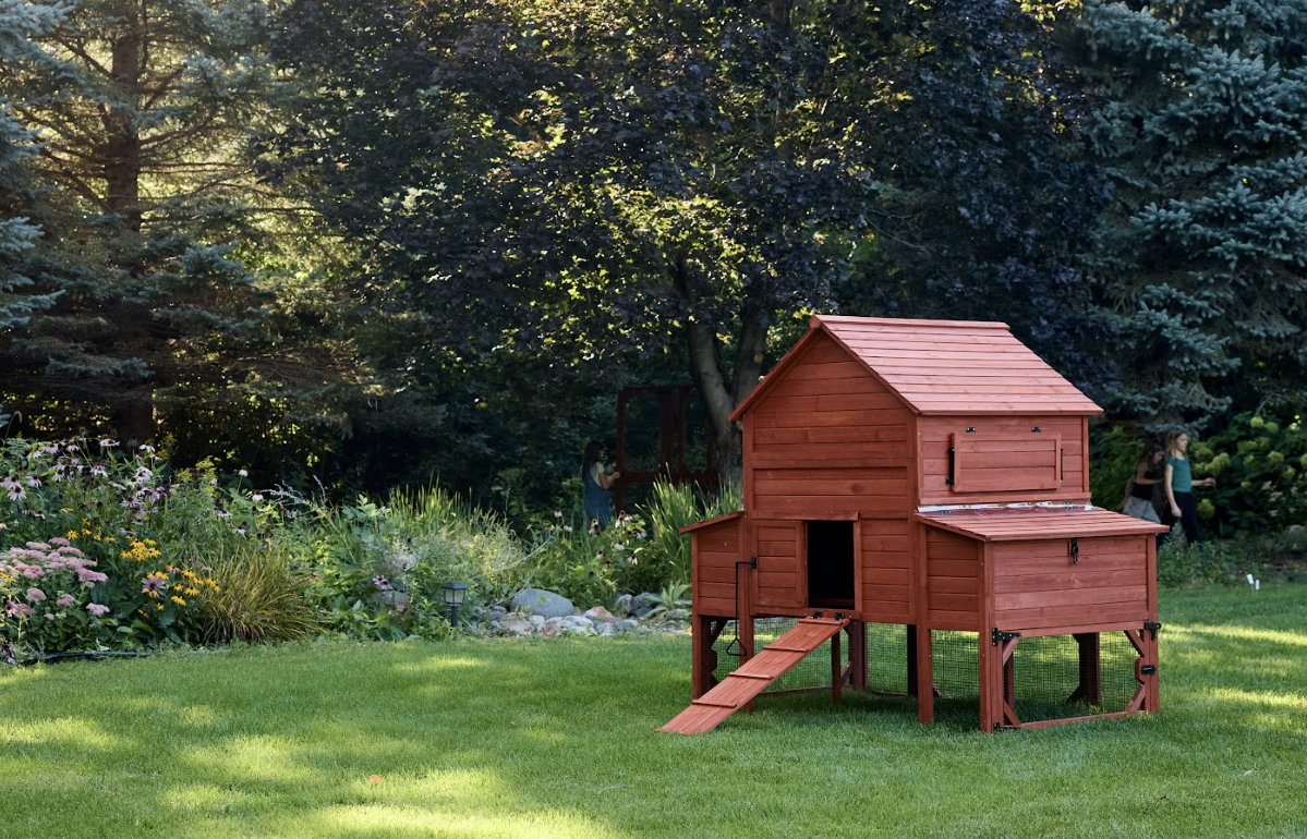 Chicken Coop for 10 Chickens - Rhode Island Homestead w/ Run Options
