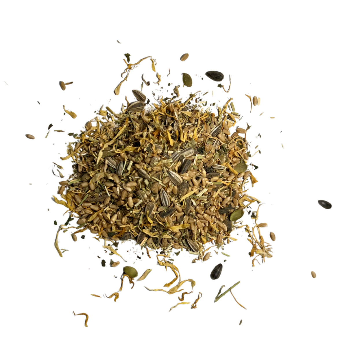 Superfood Strength Heap of dried herbs and seeds on a white background