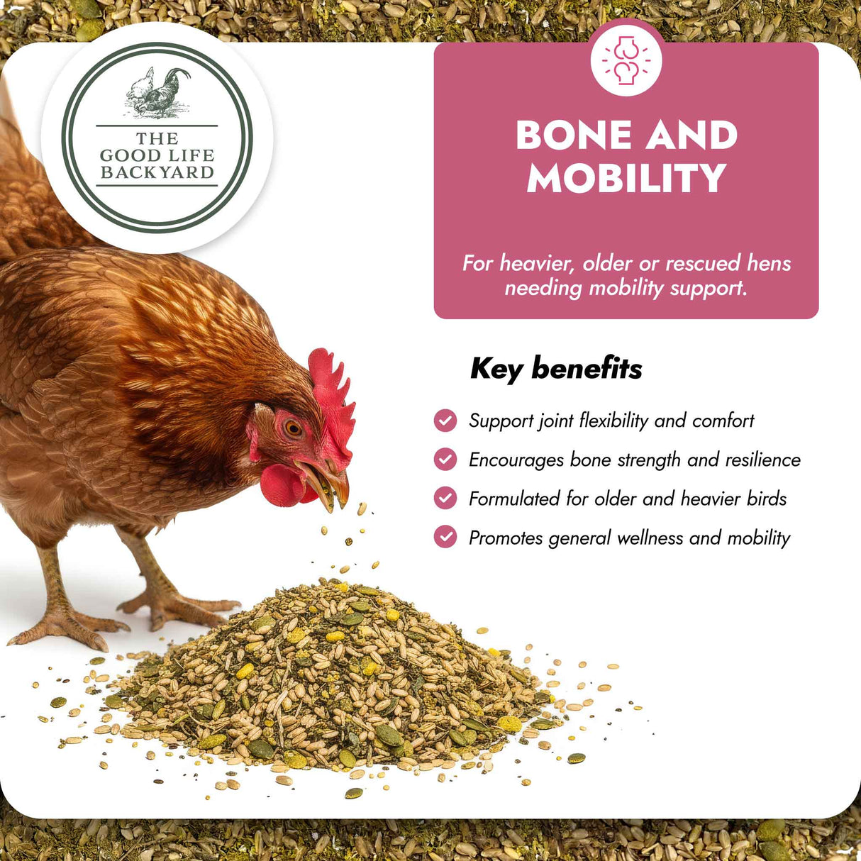 Chicken eating from a pile of chicken feed with 'The Good Life Backyard' branding and text about bone and mobility support.
