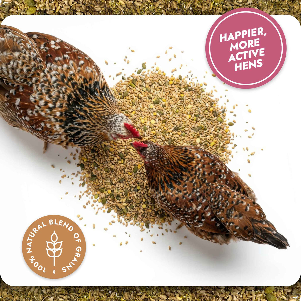 Two hens eating a natural blend of grains with a label indicating happier, more active hens.