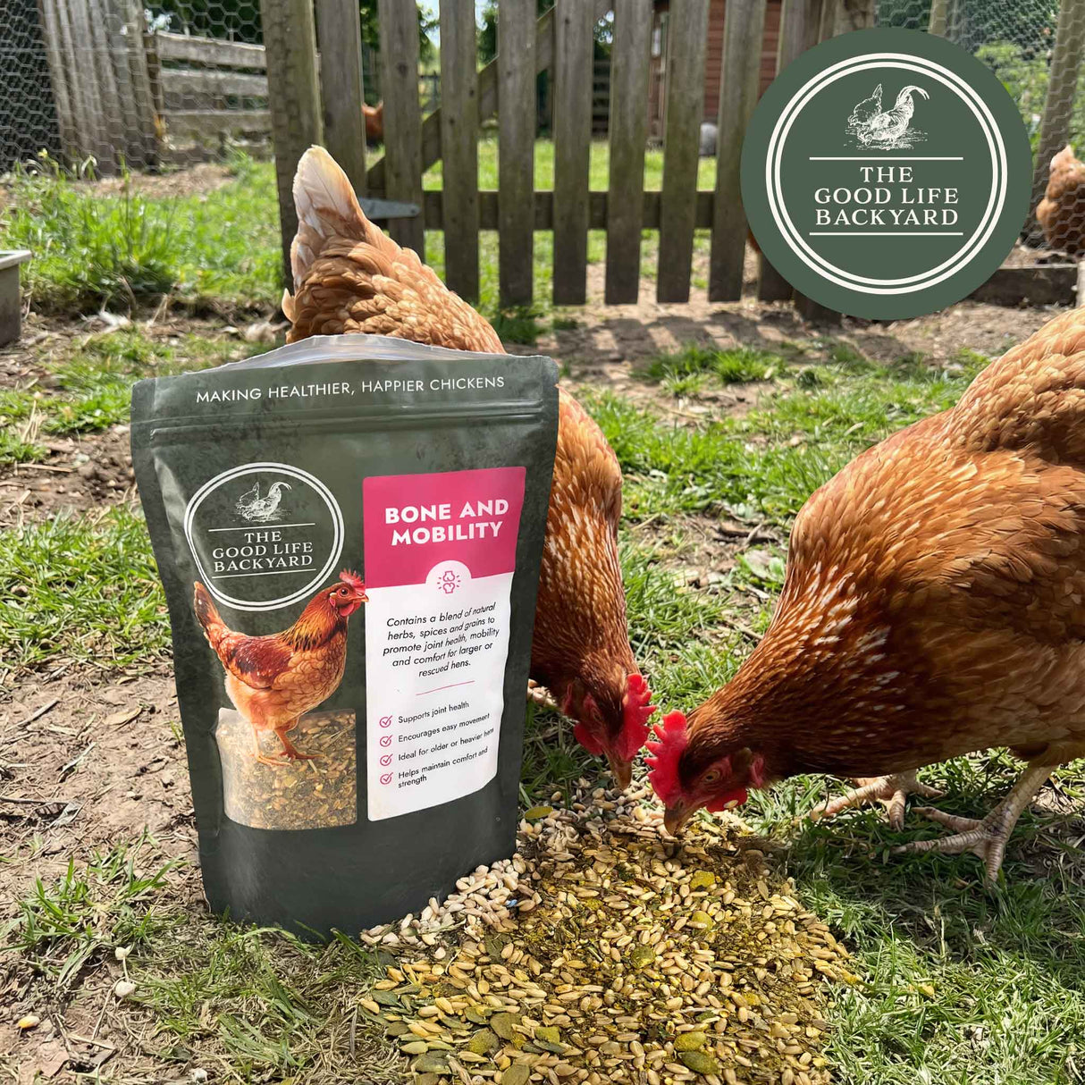 Hens eating from a bag of 'The Good Life Backyard' bone and mobility chicken feed in a backyard setting.