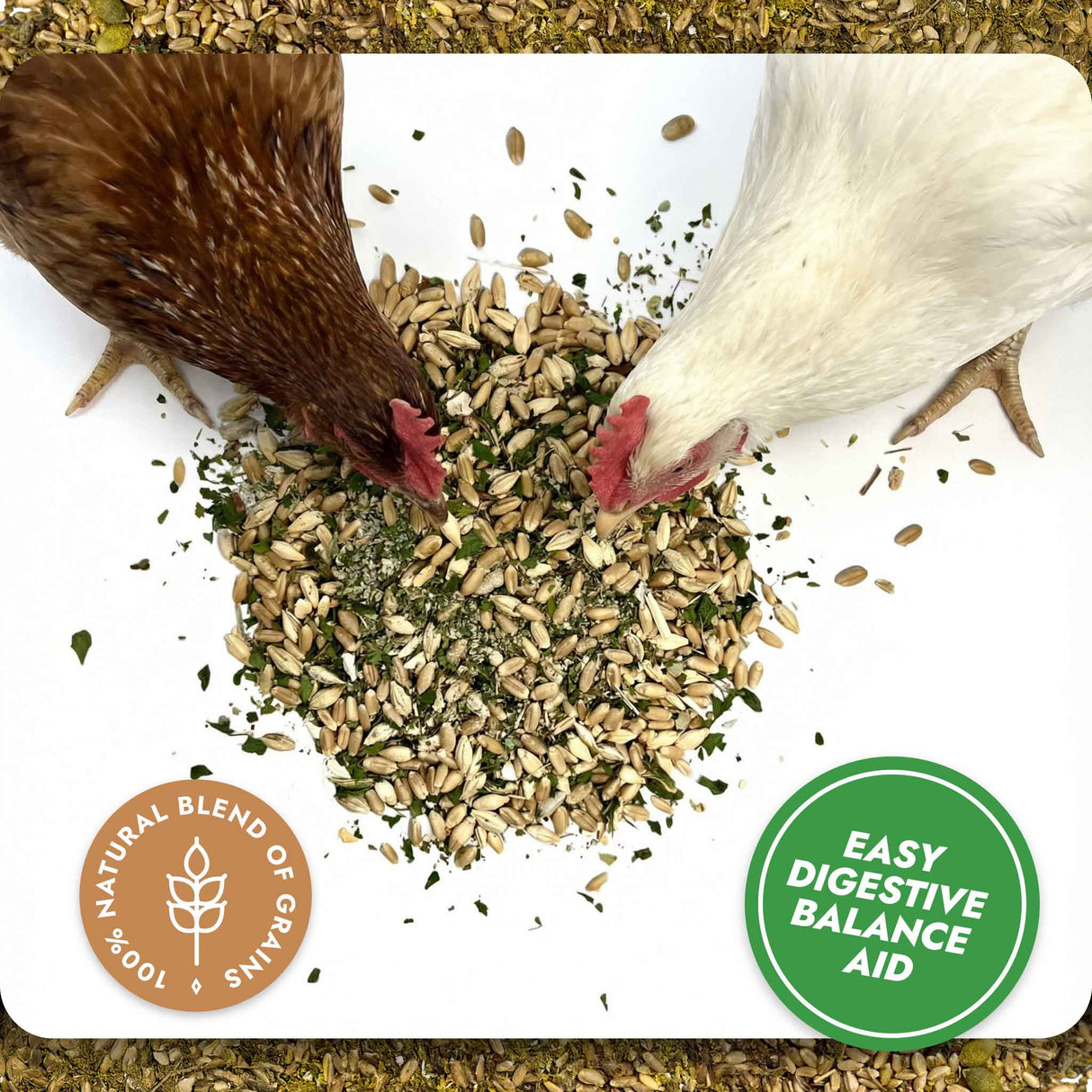 Two chickens pecking at a pile of seeds with branding and text about digestive balance aid.