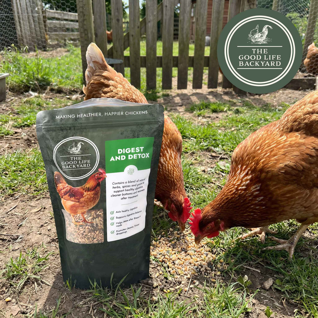 Two chickens interacting with a package of 'The Good Life Backyard' chicken feed in an outdoor setting.