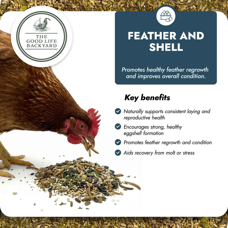 Chicken eating a mix of seeds with 'The Good Life Backyard' branding and product description about feather and shell health.