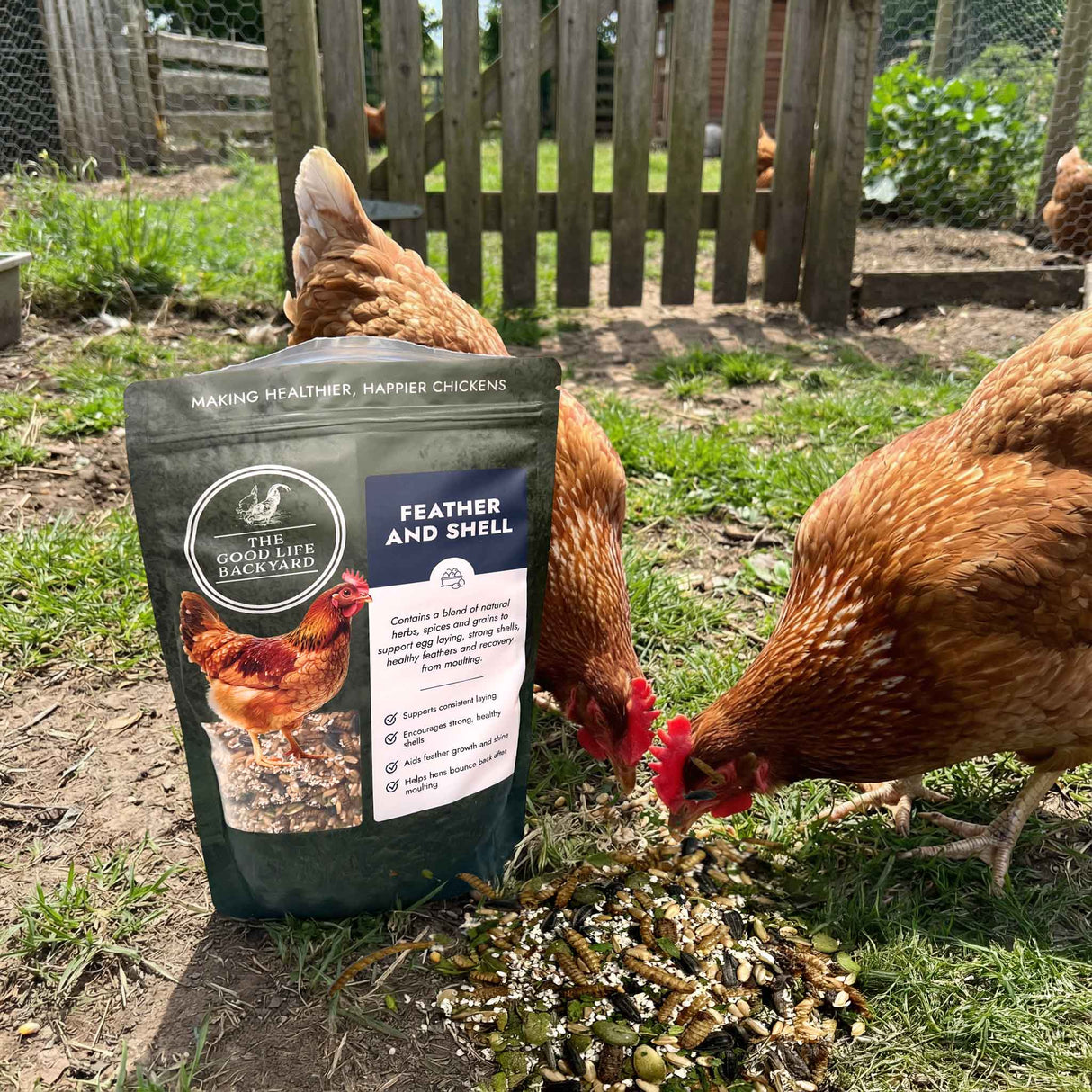 Hens interacting with a bag of 'The Good Life Backyard' chicken feed in an outdoor setting.