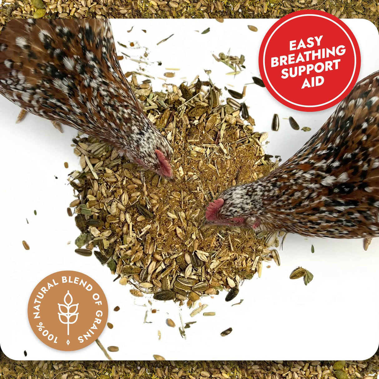 Two chickens interacting with a natural blend of herbs on a white background, labeled as an 'Easy Breathing Support Aid'.