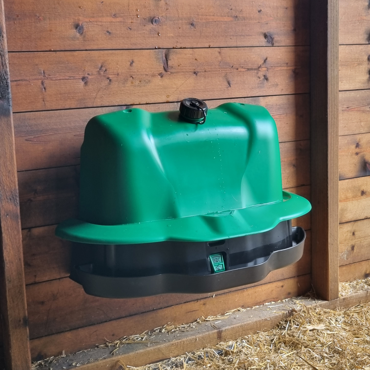 Hatching Time Wise. Wall-mounted drinker can be seen mounted on a wooden wall.