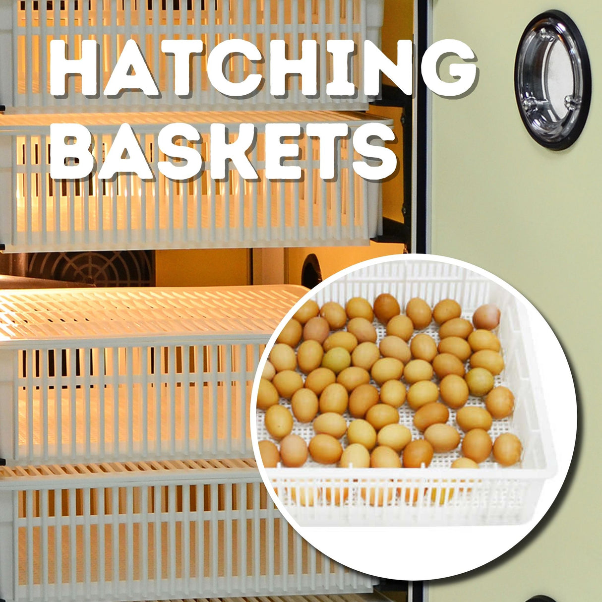 Hatching Time Cimuka. Image focuses on Hatching baskets that hold eggs while they finish hatching to prevent injury to poultry.