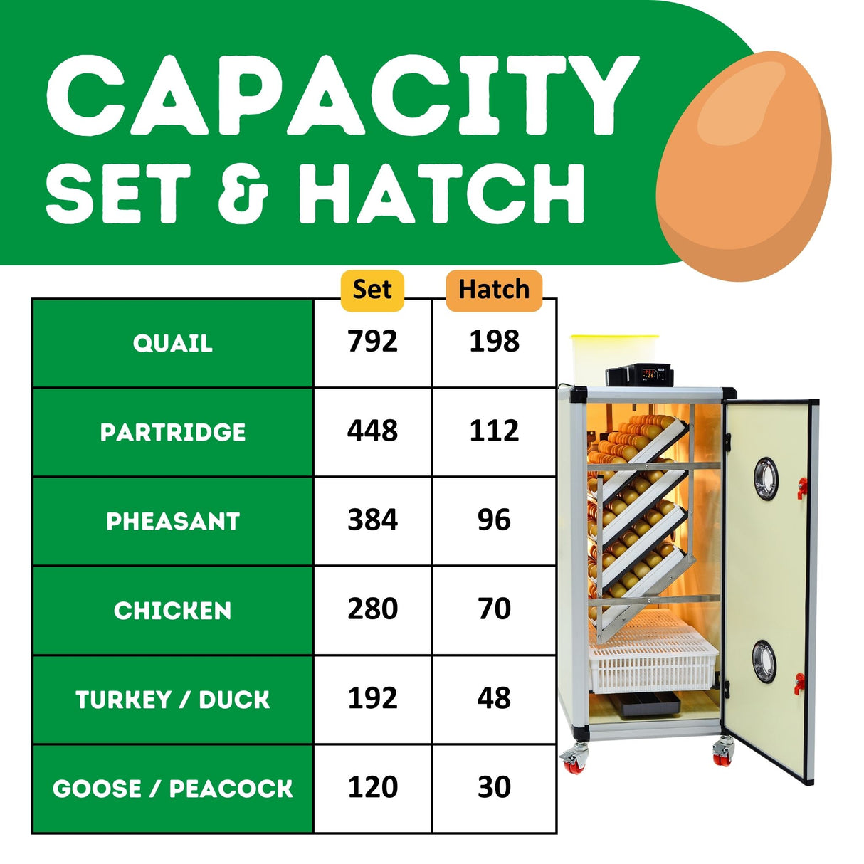 Hatching Time Cimuka. Image shows the amounts of each poultry egg that can fit into incubator with correct tray configuration.