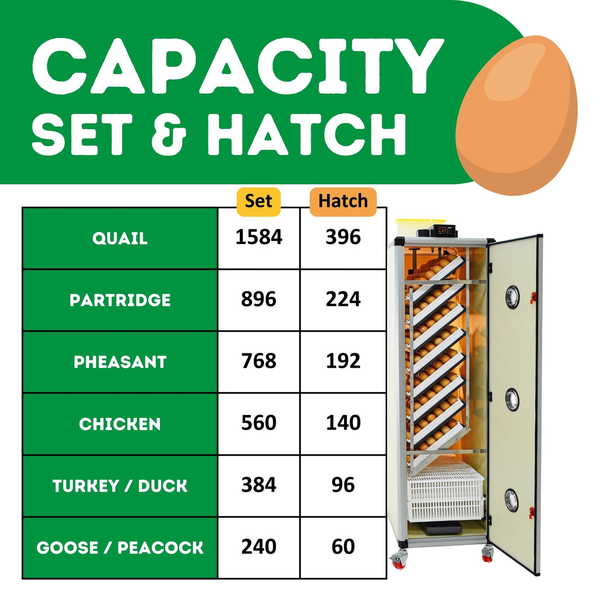 Hatching Time Cimuka. Image shows the amounts of each poultry egg that can fit into incubator with correct tray configuration.