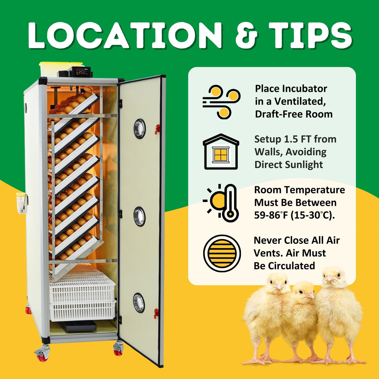 Hatching Time Cimuka. HB700C Setter & Hatcher location and tips infographic is shown. HB700C incubator can be seen in image. 3 chicks are standing side by side.