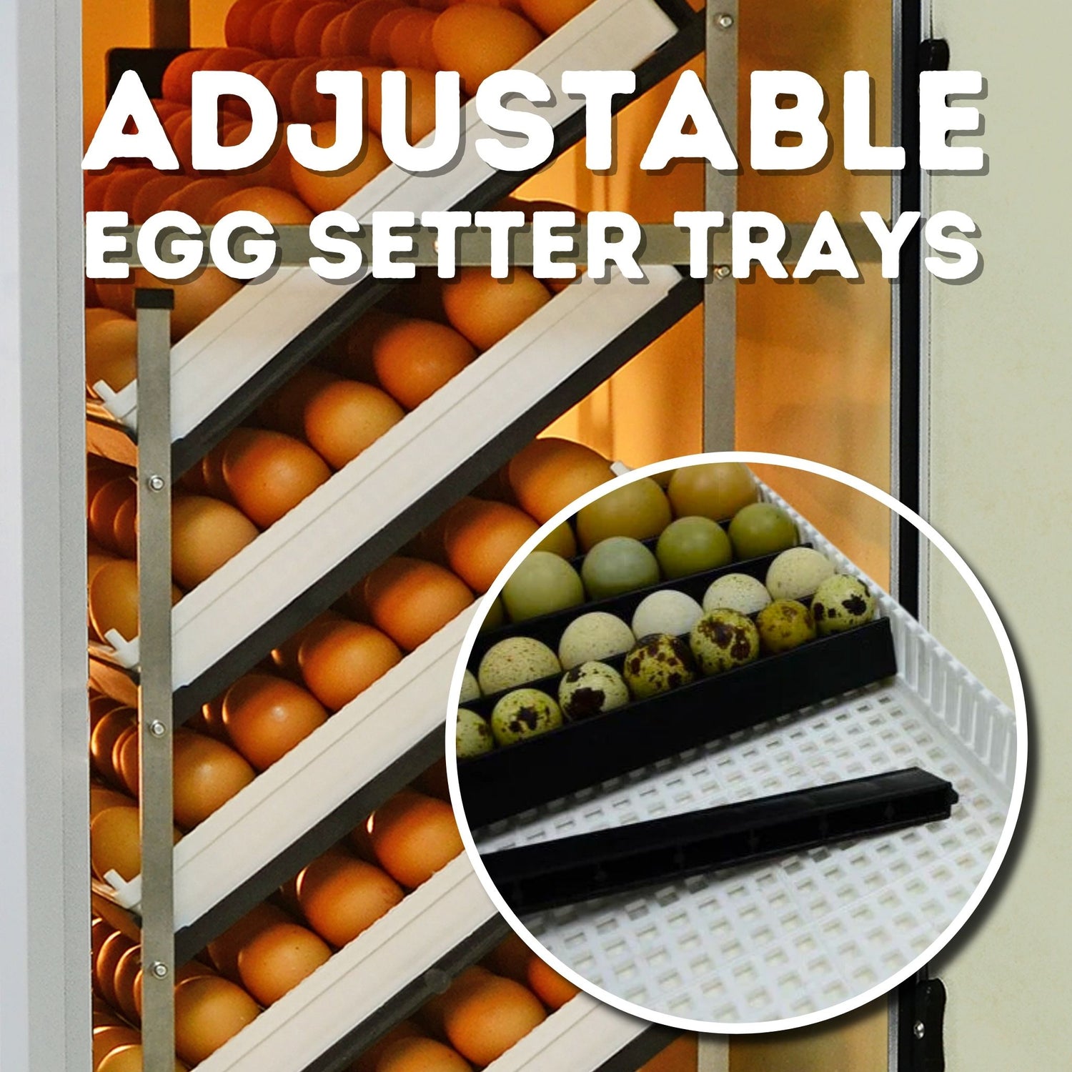 Hatching Time Cimuka. Image shows highlight of adjustable egg setter trays. Various types of eggs can be seen in image such as quail and chicken eggs on the same tray.