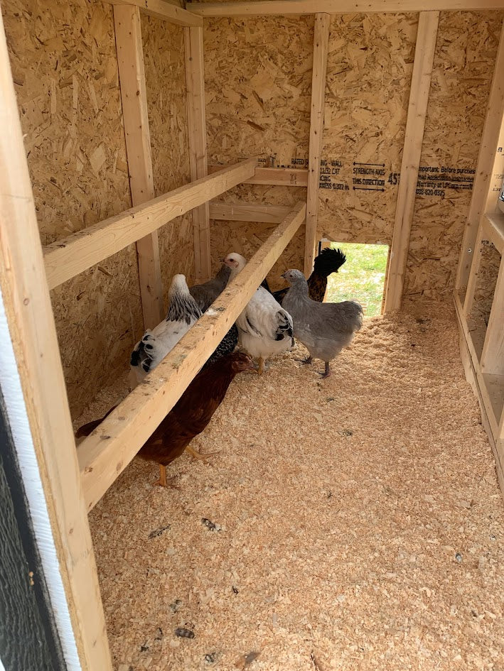 Chicken Coop - Large (Up to 15 Chickens)