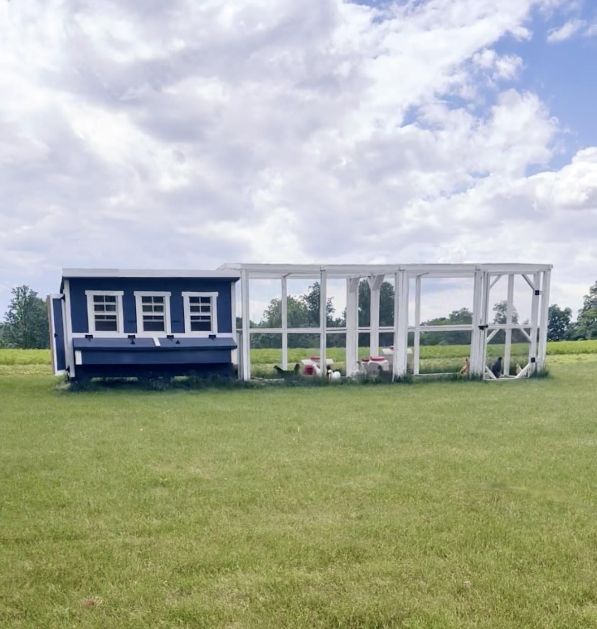 Chicken Coop - X-Large - (Up to 20 Chickens)