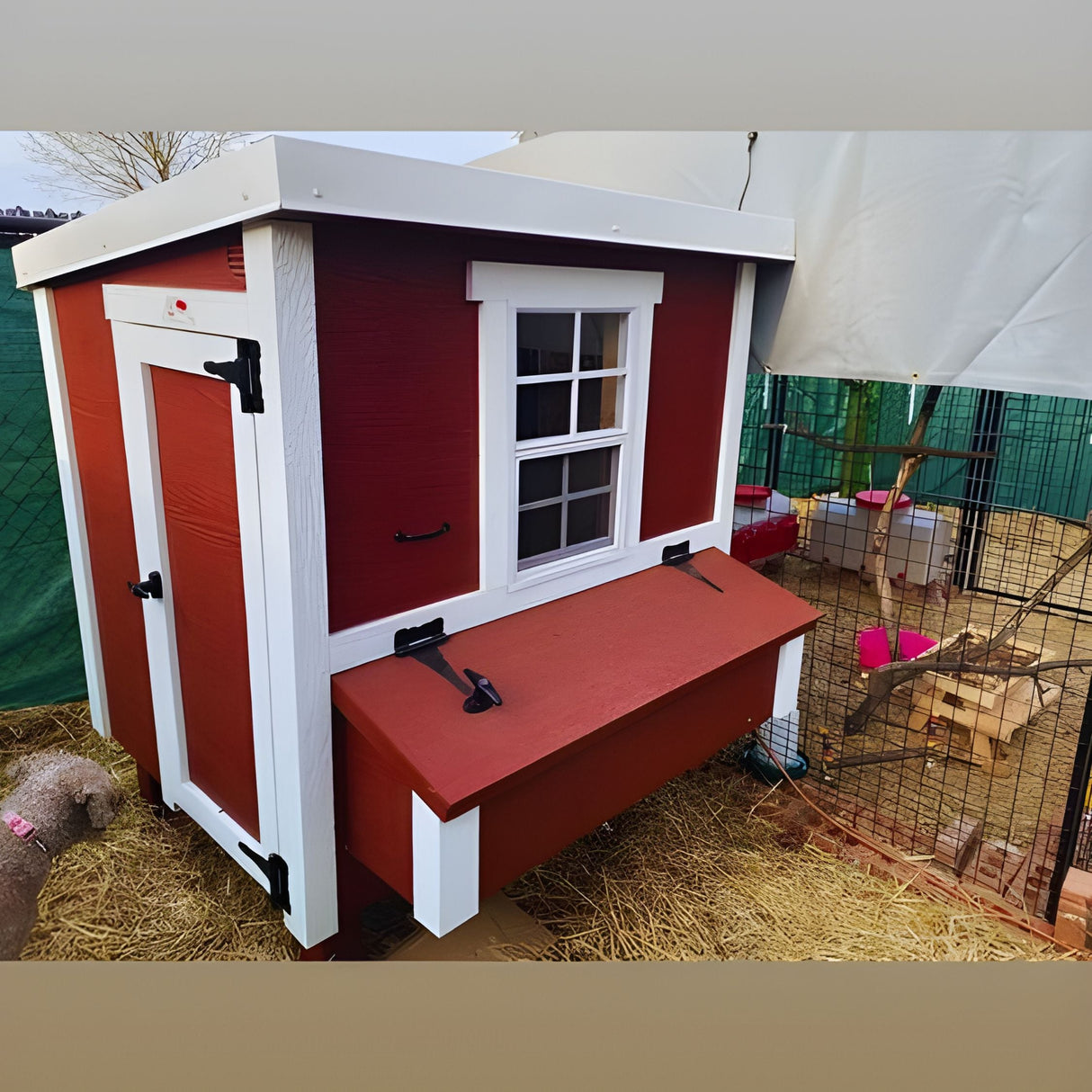 Chicken Coop - Medium (Up to 10 Chickens)