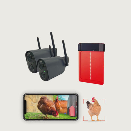 Hatching Time Smart Coop. Camera, door and monitoring can be seen in app.