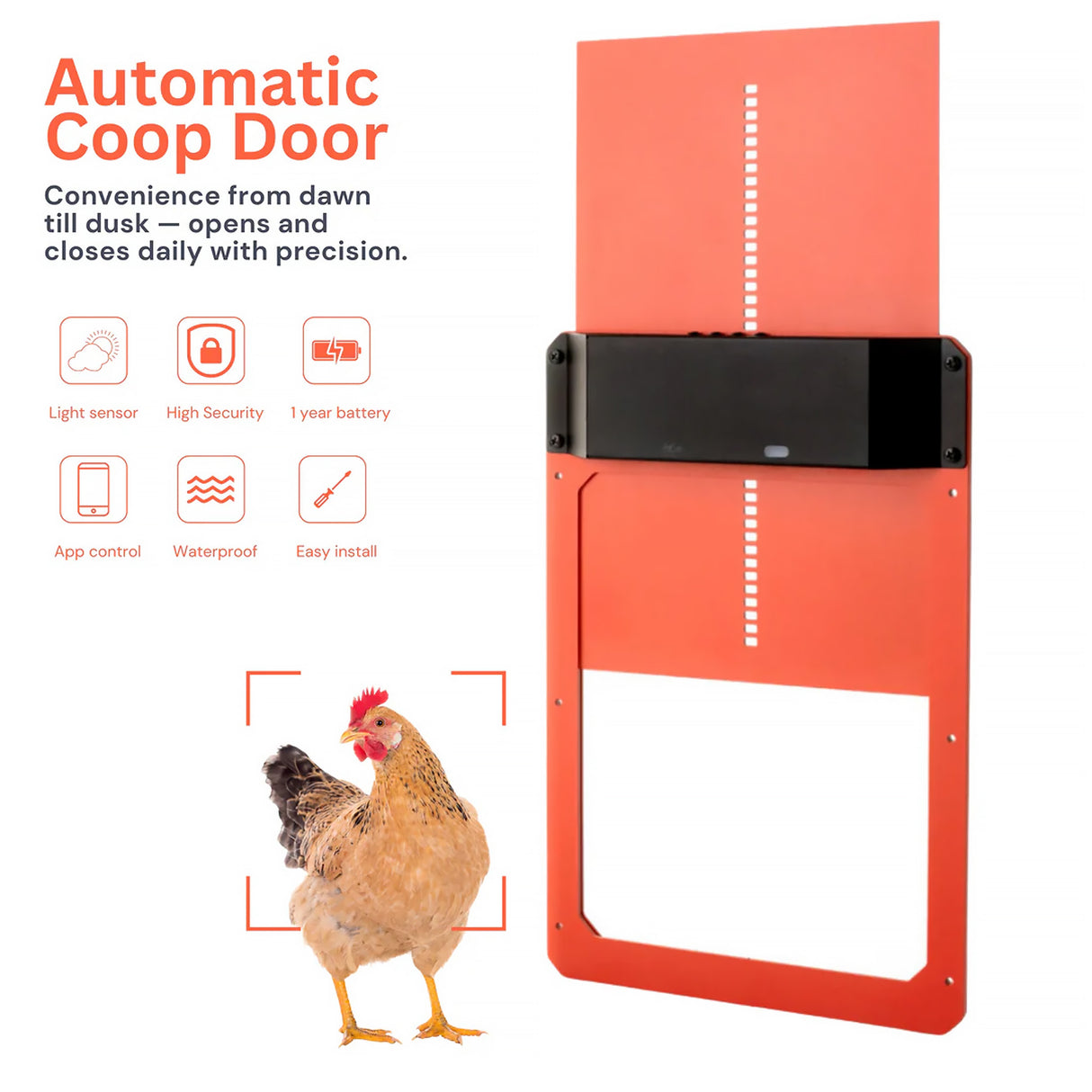 Automatic coop door with chicken illustration and feature icons on a white background