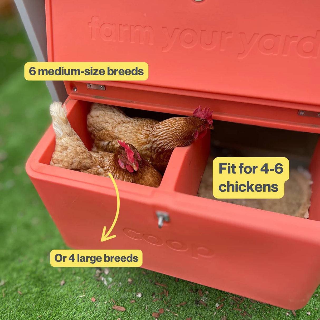 Red chicken coop Hatching Time Smart Coop nesting box with text indicating size compatibility on a grassy background