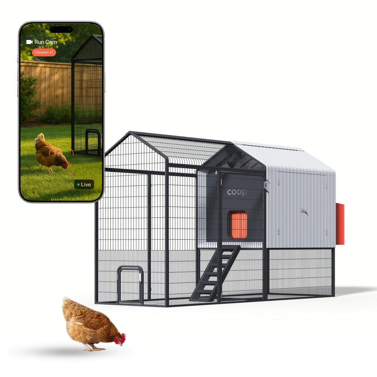 Hatching Time Smart Coop Chicken coop with smartphone displaying a live camera view of a chicken in a garden