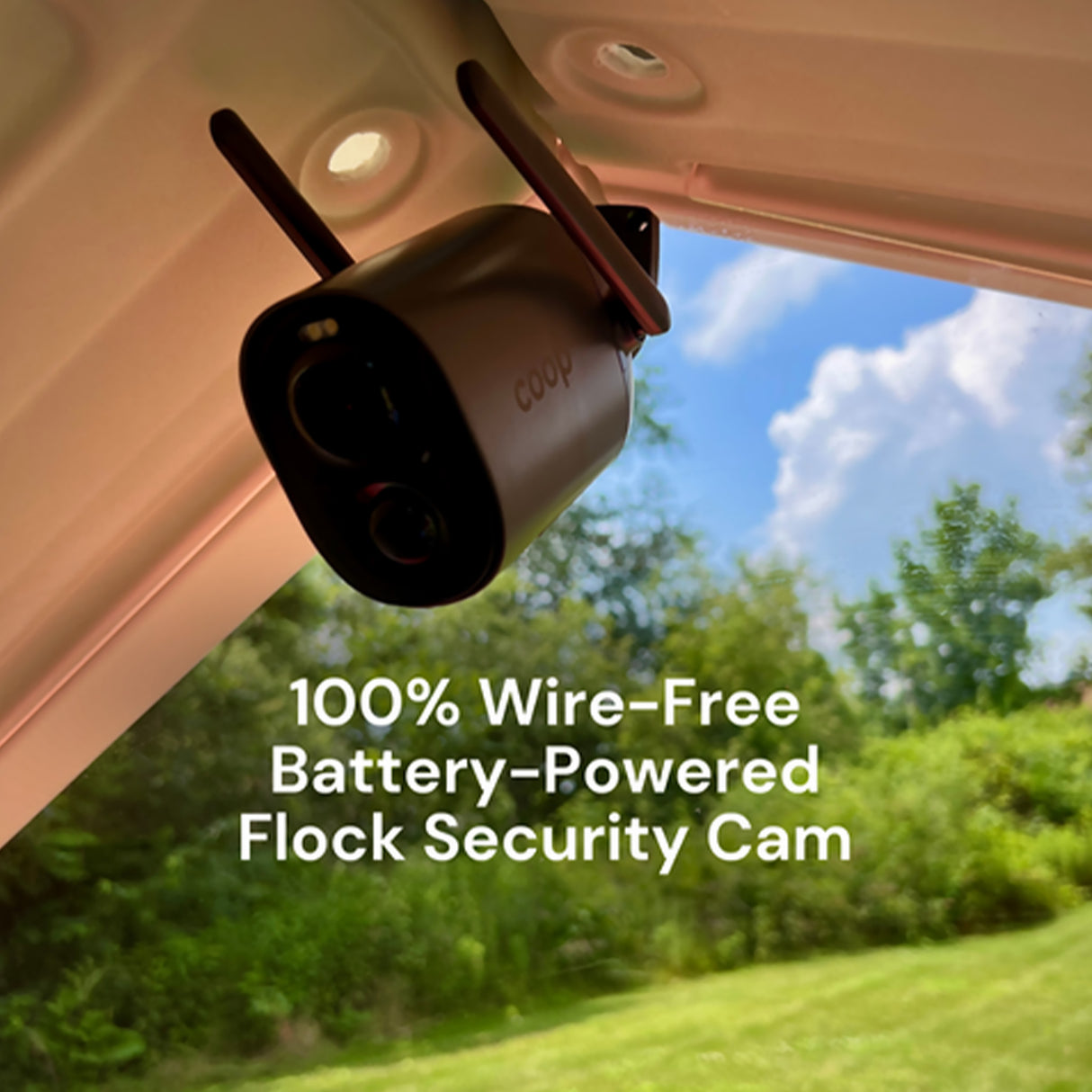 Hatching Time. Coopcam an be seen installed on roof of chicken coop.